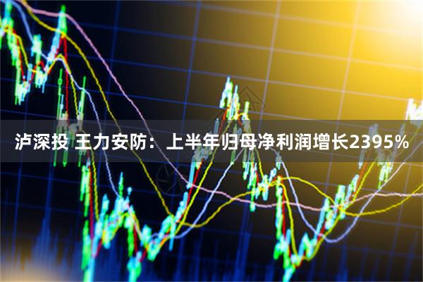泸深投 王力安防：上半年归母净利润增长2395%