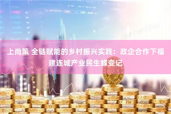 上尚策 全链赋能的乡村振兴实践：政企合作下福建连城产业民生蝶变记